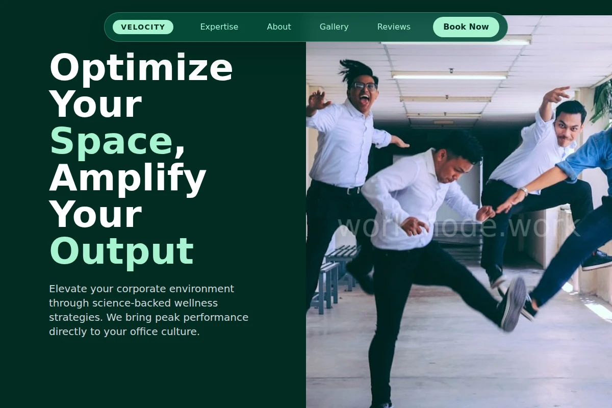 Velocity Workplace Wellness